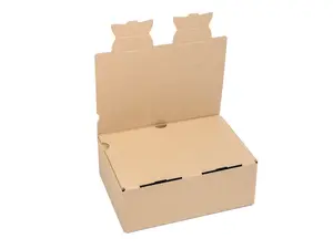 10 ks - Zásilková krabice EKOBOX 250x175x100 3VVL