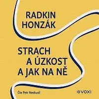 Radkin Honzák, MUDr. Radkin Honzák – Strach a úzkost a jak na ně CD-MP3