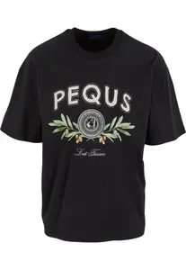 Pequs Tričko 'Olive Coin Relic'  sivá / olivová / čierna / biela