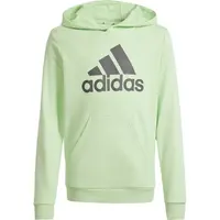 adidas BIG LOGO HOODIE Chlapecká mikina, světle zelená, velikost