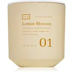 DW Home Lab Lemon Blossom vonná svíčka 411 g