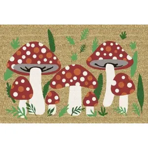 KOKOSOVÁ ROHOŽKA, 40/60 cm