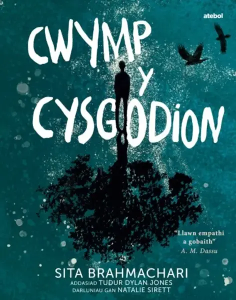 Darllen yn Well: Cwymp y Cysgodion - Sita Brahmachariová