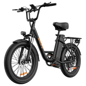 URLIFE E20 Electric Bike 250W 48V 13Ah 25km/h Black