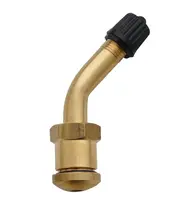 Bezdušové ventily TRUCK, BUS, AGRO, různé druhy - Ferdus Rozměr: délka 25+28 mm. otvor v disku 9.7 mm