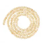 1 Strand Natural Trochus Shell Rondelle Beads Strands