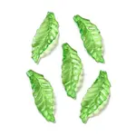 Transparent Acrylic Pendant