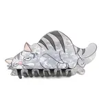 PVC Claw Hair Clips for Women Girls