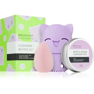 BrushArt Accessories Cleansing besties set cestovná sada
