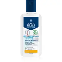 Salt House Dead Sea Therapy Anti-dandruff Shampoo šampón proti lupinám 250 ml