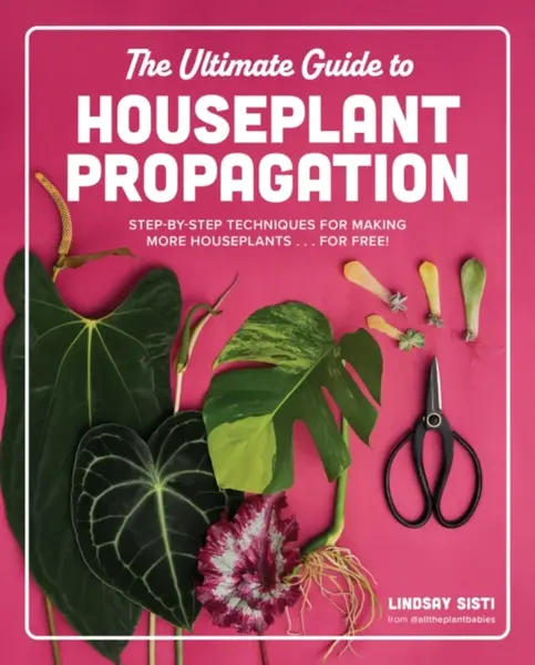 The Ultimate Guide to Houseplant Propagation - Lindsay Sisti