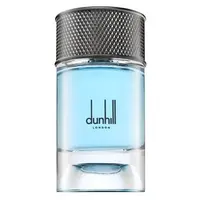Dunhill Signature Collection Nordic Fougere parfémovaná voda pro muže 100 ml