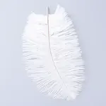 Ostrich Feather Costume Accessories