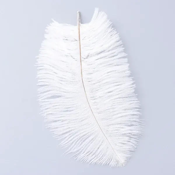 Ostrich Feather Costume Accessories