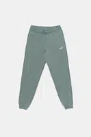 Dětské tepláky Puma ESS 2 COLOR No. 1 Logo Sweatpants FL zelená barva, 685824
