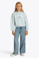 Dětská mikina Tommy Hilfiger modrá barva, s potiskem, KG0KG08559