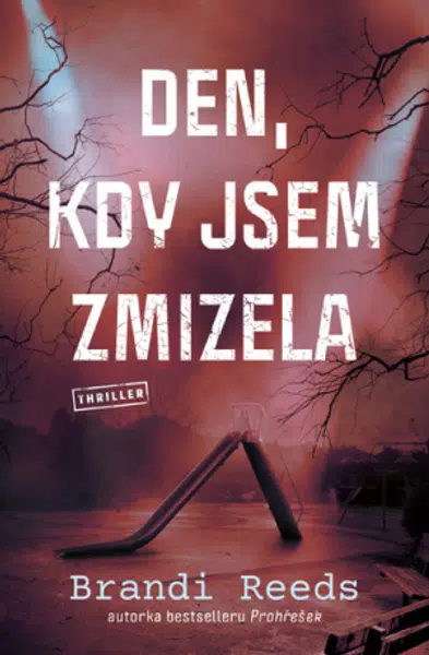 Den, kdy jsem zmizela - Brandi Reeds - e-kniha