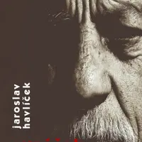 Synáček - Jaroslav Havlíček - e-kniha