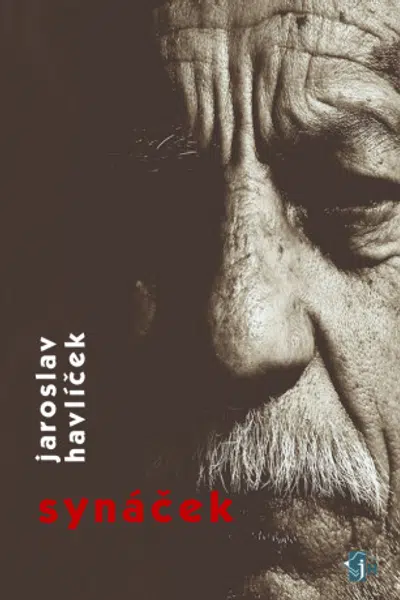 Synáček - Jaroslav Havlíček - e-kniha