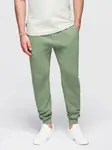 Ombre Men's jogger sweatpants - green
