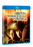 Hřbitov domácích zvířátek 2 - Mary Lambert - film z kategorie Horory