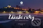 Čarovné Žďárské vrchy (Magical Žďárské vrchy Hills) - kniha z kategorie Místopisy