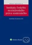 Instituty českého mezinárodního práva soukromého - Naděžda Rozehnalová - kniha z kategorie Politologie a politika