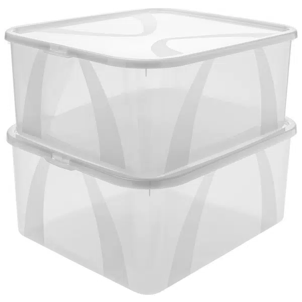 Rotho SADA ÚLOŽNÝCH BOXŮ 2 ks 19 l