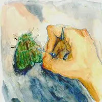 ANNEJE – Lepidoptera