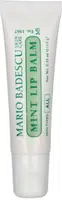 Mario Badescu Hydratační balzám na rty s mátou (Mint Lip Balm) 10 g