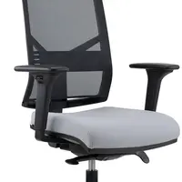 ANTARES kancelářská židle 1850 SYN OMNIA s opěrkou hlavy