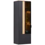 Dieter Knoll ZÁVĚSNÁ VITRÍNA, antracitová, barvy dubu, 45,6/139,4/36 cm