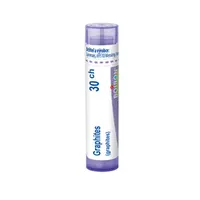 Boiron GRAPHITES CH30 granule 4 g