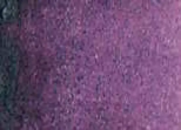 Akvarelová barva DS 5ml – 101 Rose of Ultramarine