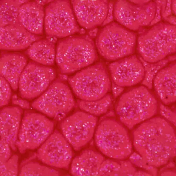 Barva Pébéo Fantasy Prisme 45ml – 13 English red