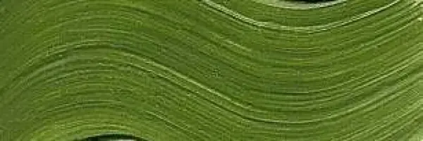 Akrylová barva MaxiAcril 60ml – 48 Zeleň chromová