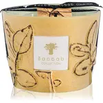 Baobab Collection Folia Garrigue vonná svíčka 10 cm
