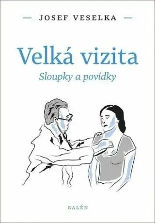 Velká vizita - Miloš Čermák, Josef Veselka