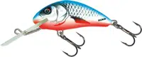Salmo wobler hornet sinking dace blue - 5 cm