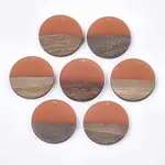 Resin & Walnut Wood Pendants