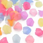 Frosted Acrylic Bead Caps