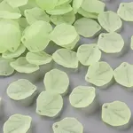 Transparent Frosted Acrylic Pendants