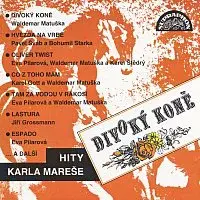 Různí interpreti – Divoký koně (Hity Karla Mareše)