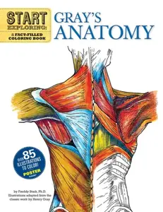 Start Exploring: Gray's Anatomy - Freddy Stark