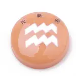 Constellation/Zodiac Sign Resin Cabochons