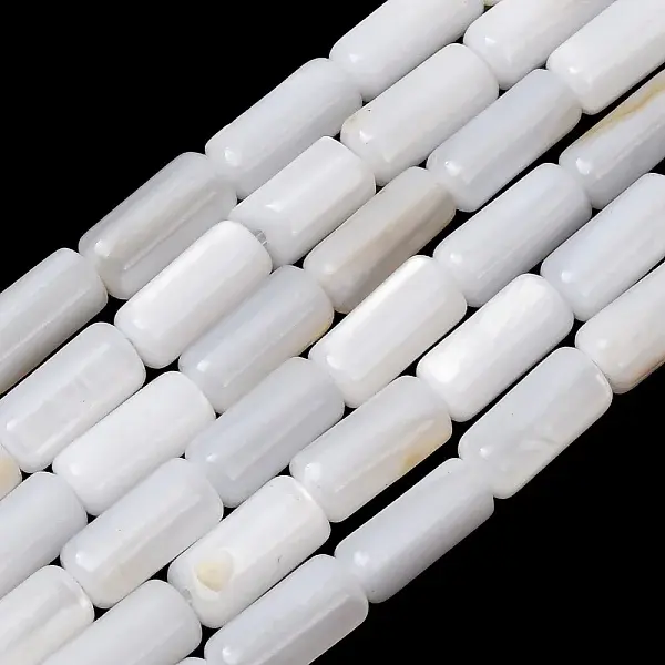 Natural Freshwater Shell Beads Strands