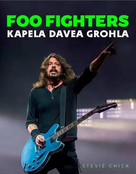Foo Fighters (poškozená) - Stevie Chick