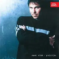 Pavel Vítek – Pro(cit)ni