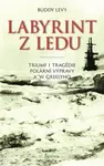 Labyrint z ledu (poškozená) - Buddy Levy
