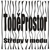 Střepy v medu – ToběProstor